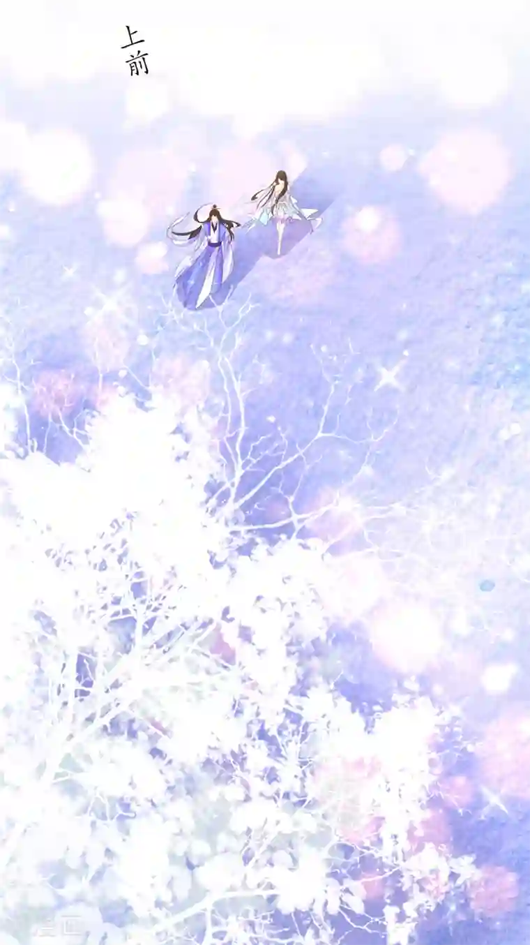 王妃的修仙指南第97话 稀有灵符应有尽有