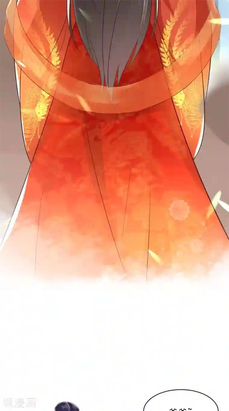 痴傻毒妃不好惹第140话 大婚