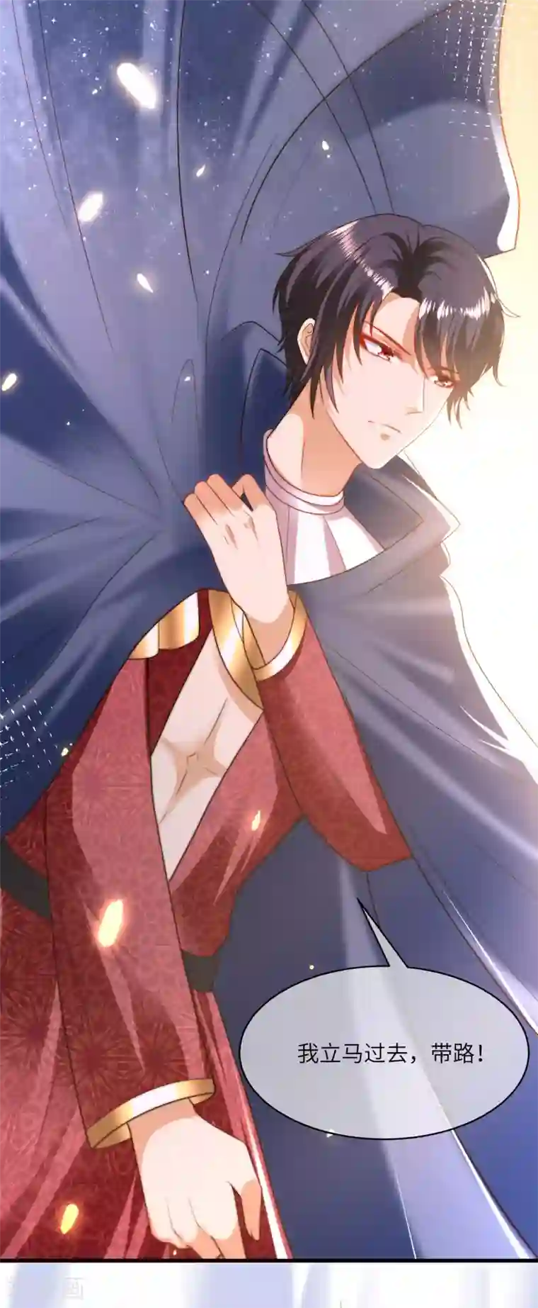 王的第一宠后第85话 神秘的南宫先生