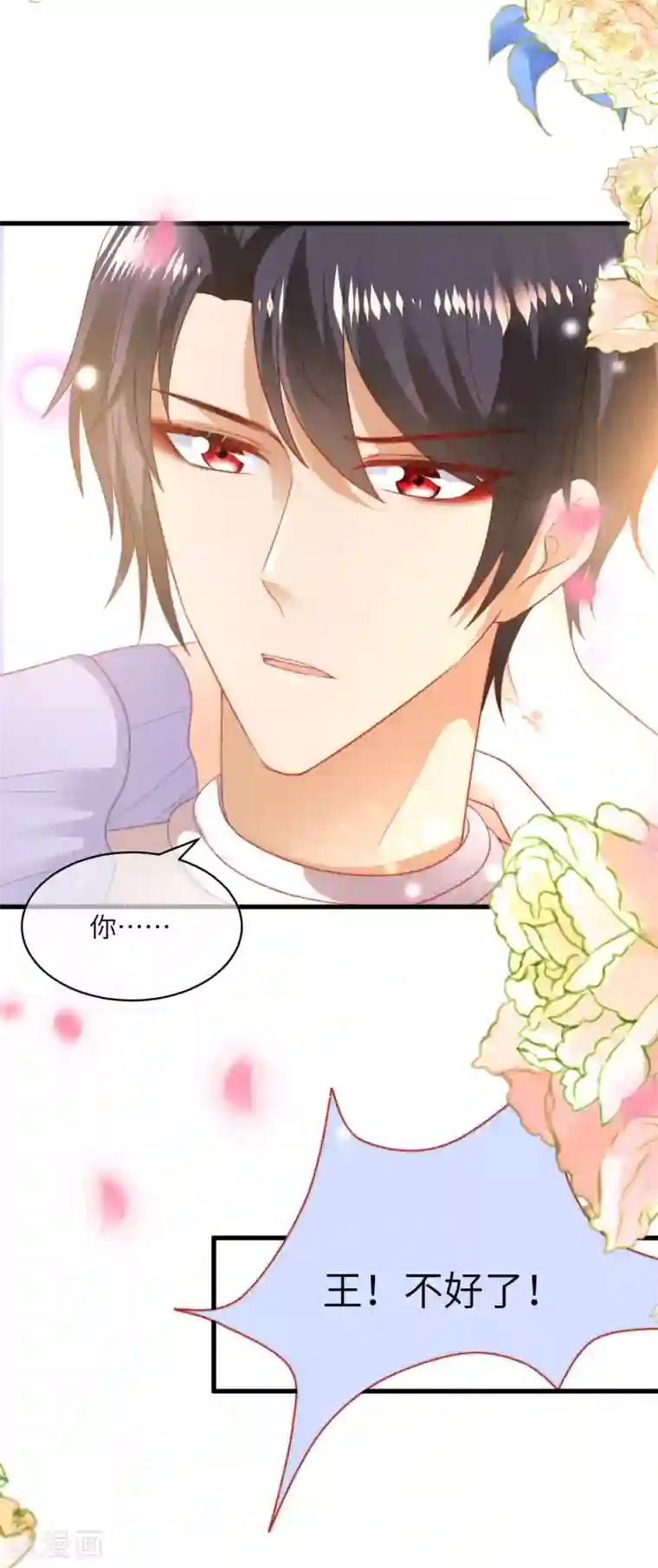 王的第一宠后第85话 神秘的南宫先生