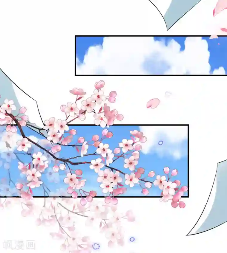 惊世狂妃第67话 追星效应