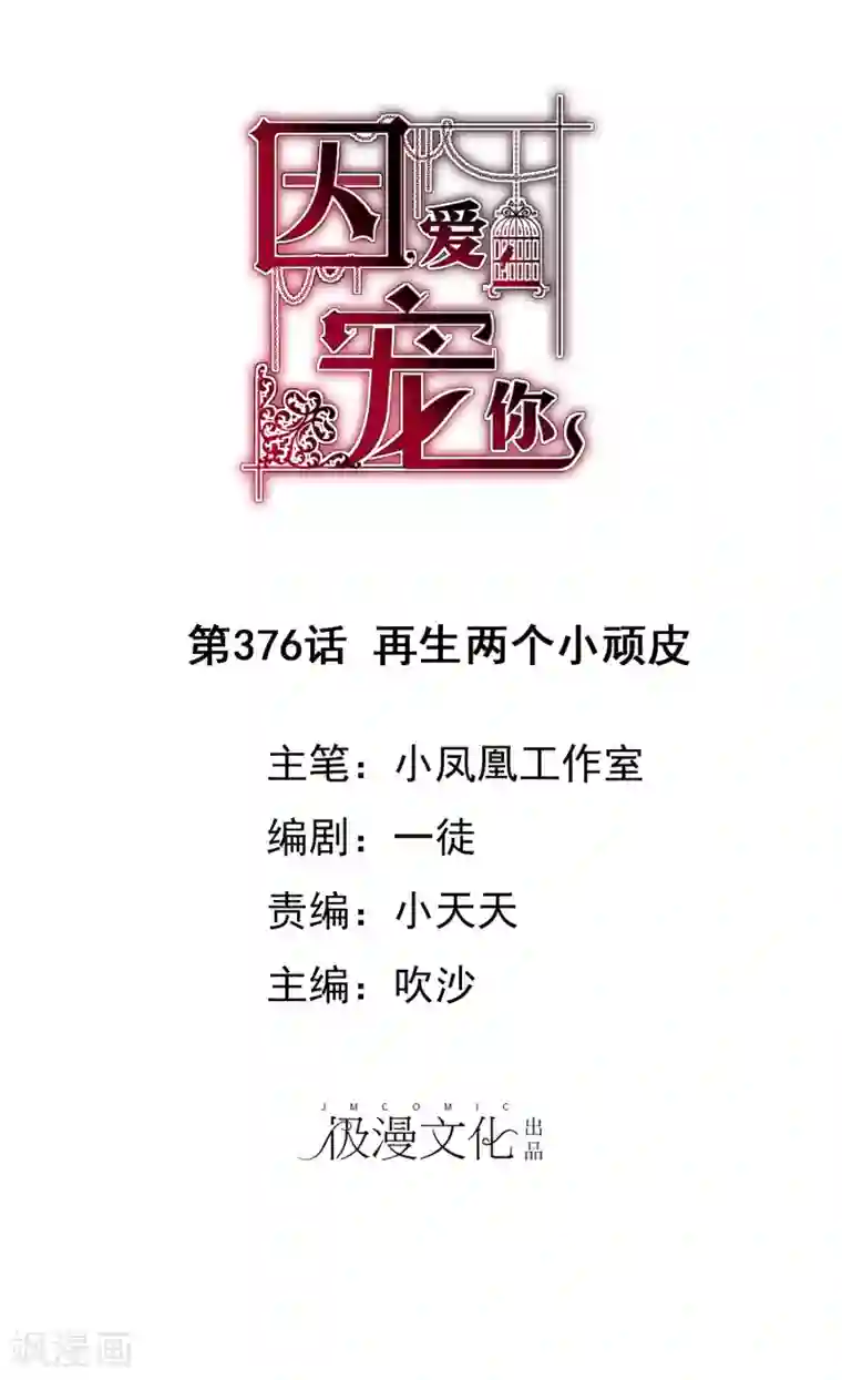 因爱宠你第376话