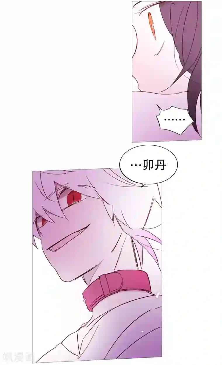 动物灵魂管理局第131话 叛徒