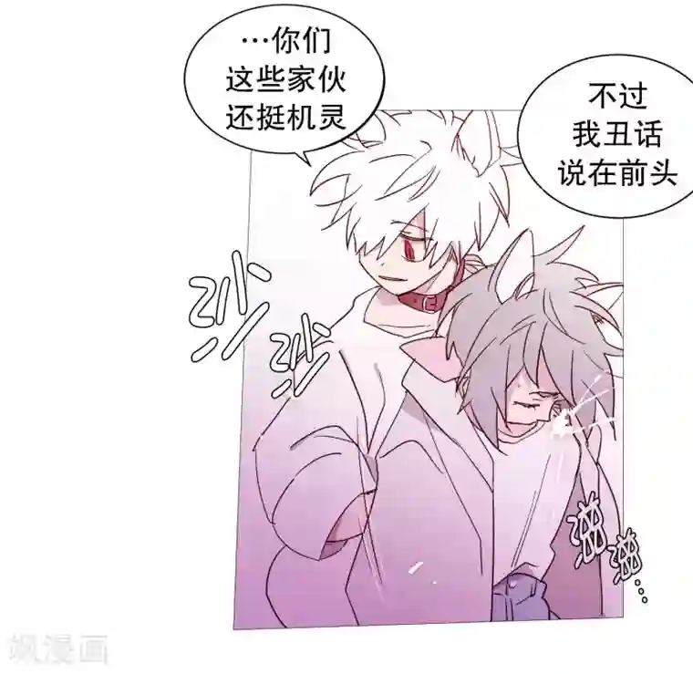 动物灵魂管理局第132话 偷袭