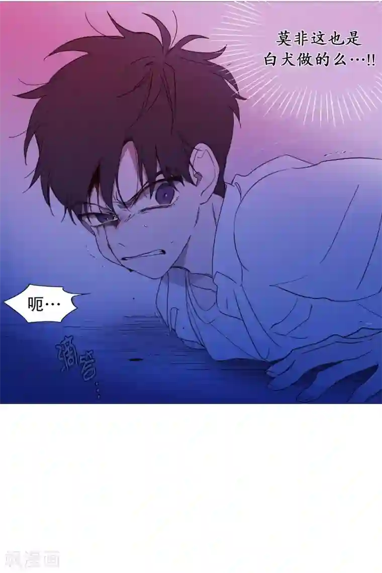 动物灵魂管理局第132话 偷袭