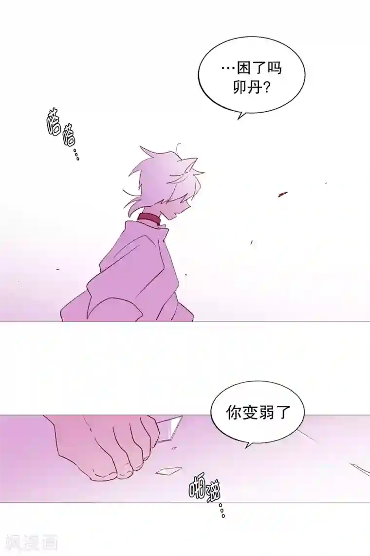 动物灵魂管理局第134话 意料之外的人