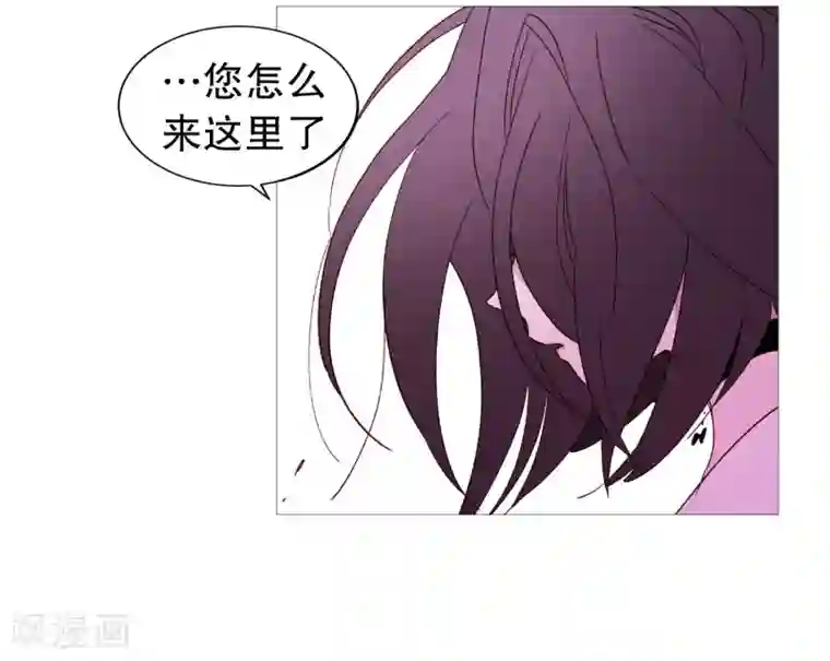 动物灵魂管理局第134话 意料之外的人