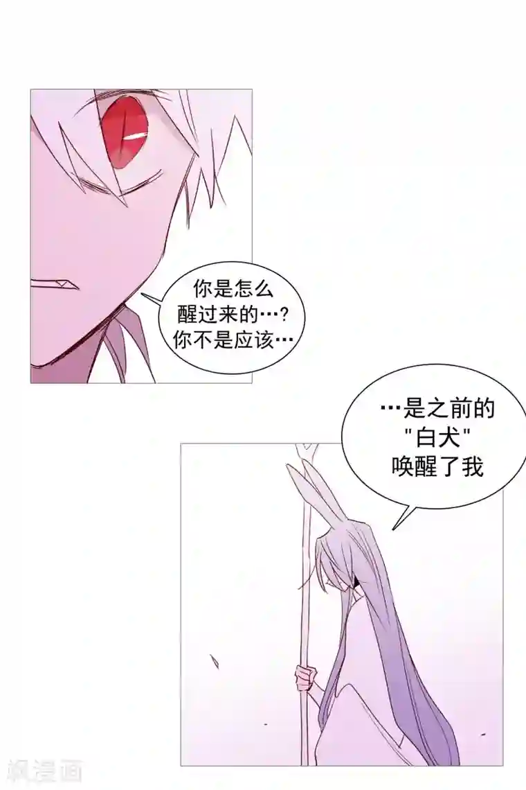 动物灵魂管理局第135话 同一副躯体