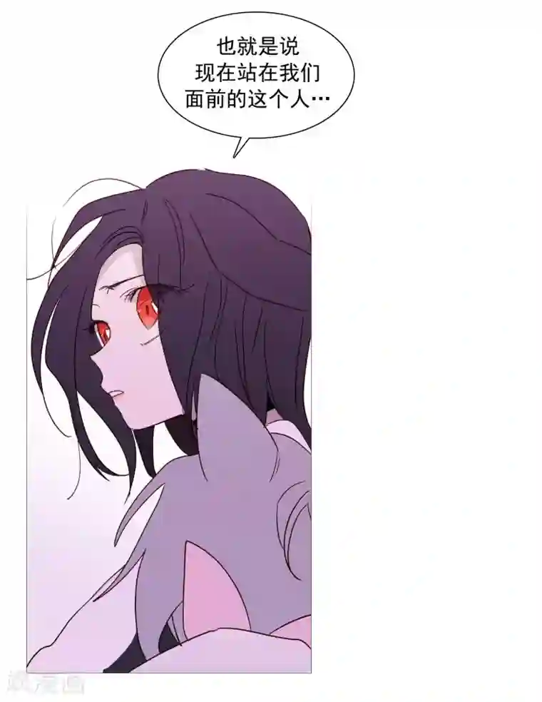 动物灵魂管理局第135话 同一副躯体