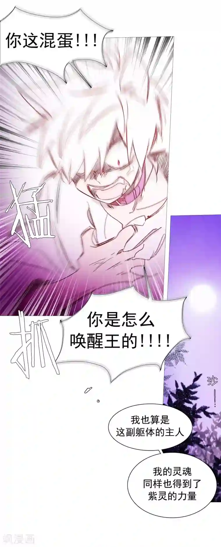 动物灵魂管理局第135话 同一副躯体