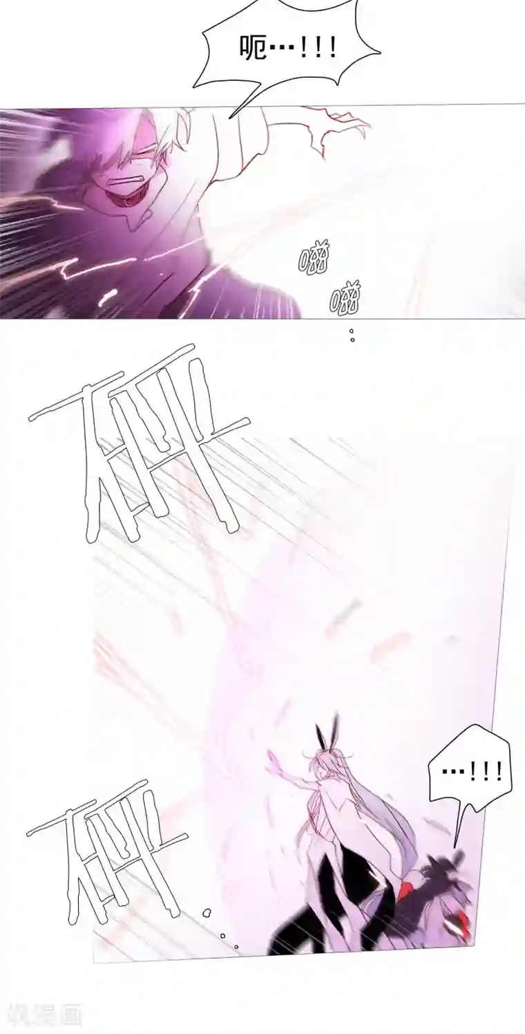 动物灵魂管理局第135话 同一副躯体