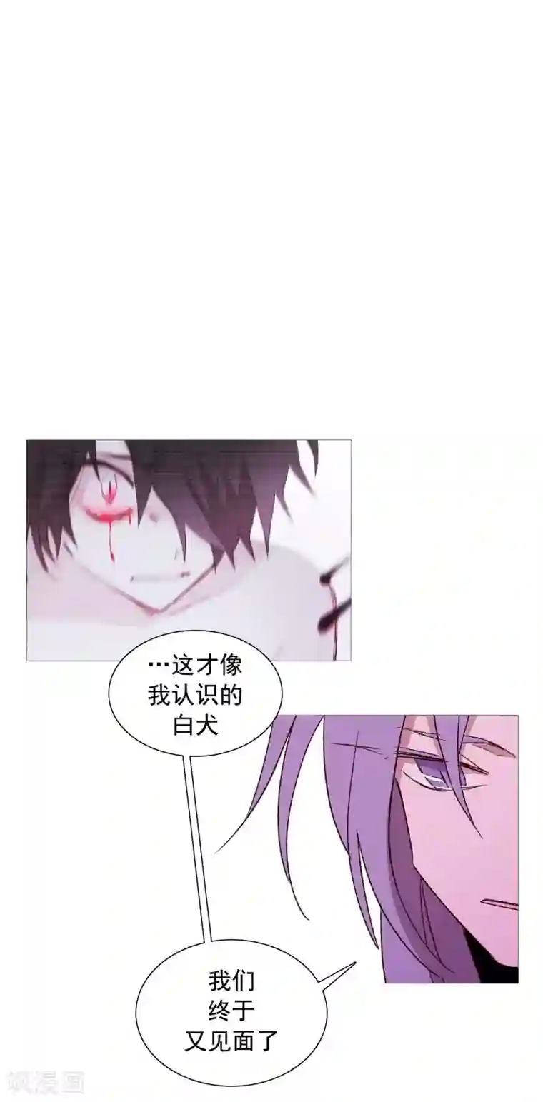 动物灵魂管理局第135话 同一副躯体