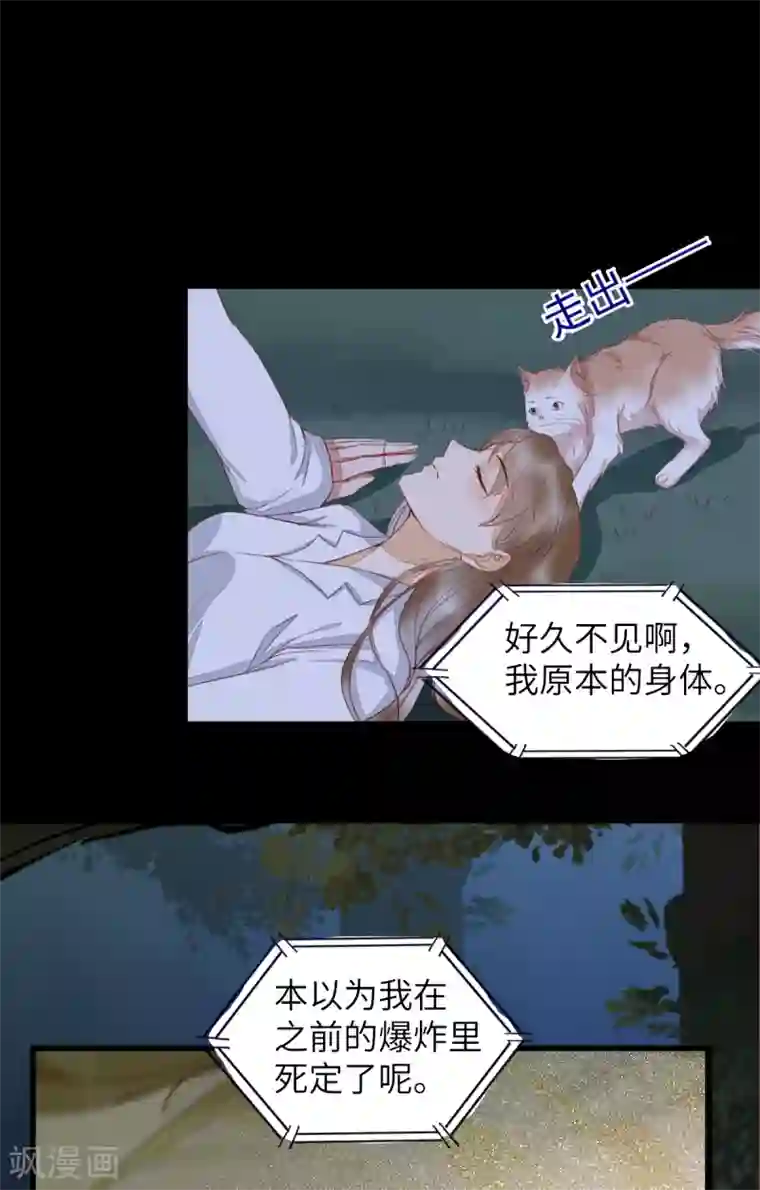 杀手王妃不好惹第63话 莫喵终于要变回人形了