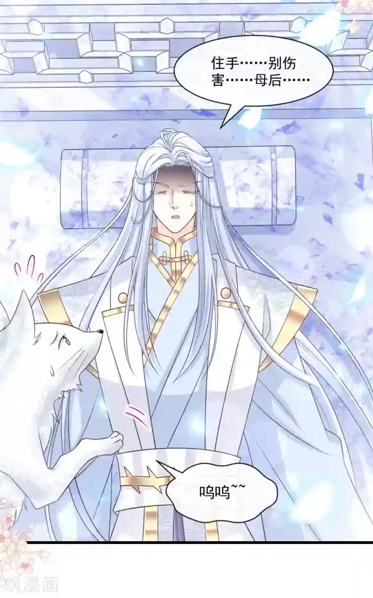 天下第一宠第190话 异变陡生