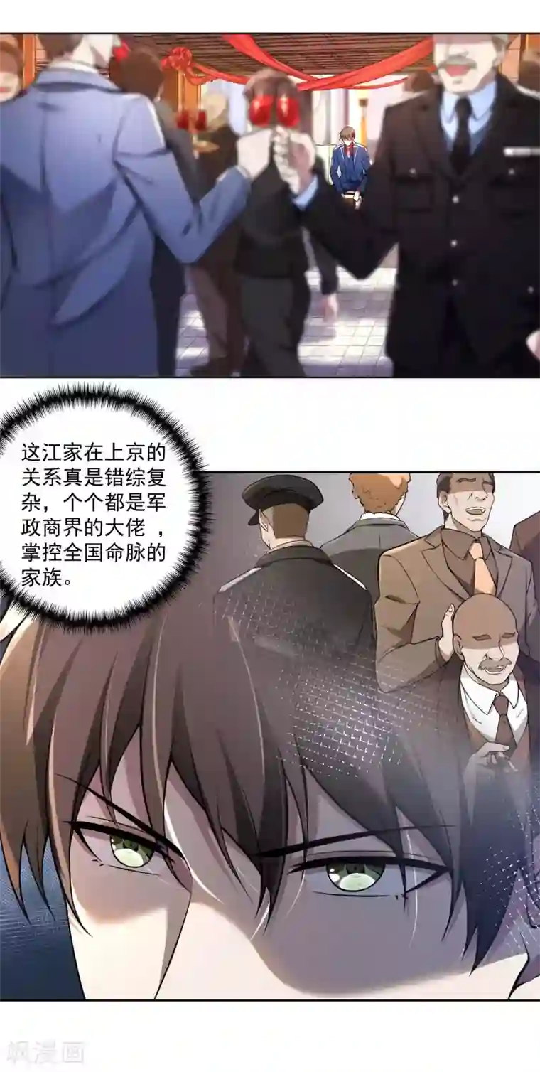 第一赘婿第31话 江家寿宴