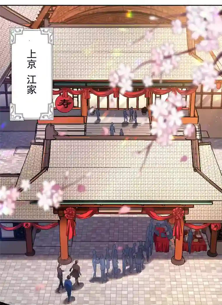 第一赘婿第31话 江家寿宴