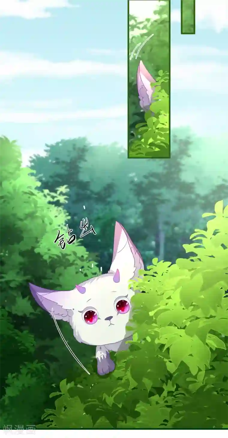 穿越到春秋男校当团宠第61话 悬崖山洞里必有秘籍？