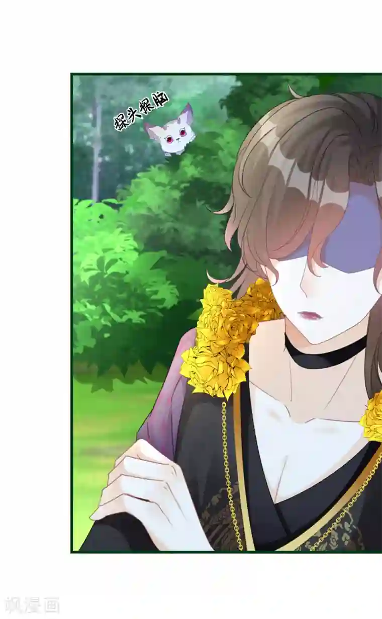 穿越到春秋男校当团宠第61话 悬崖山洞里必有秘籍？