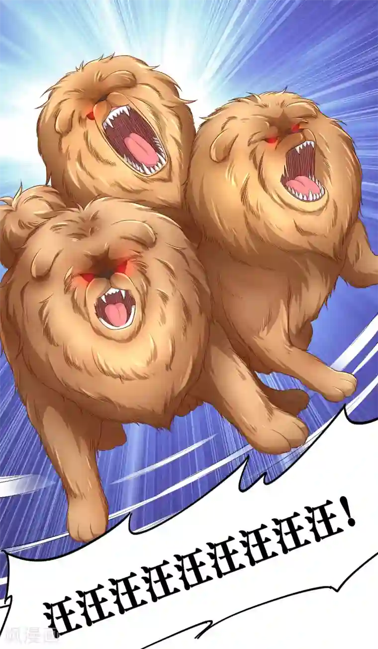 超能不良学霸第7话 变成少女的猫