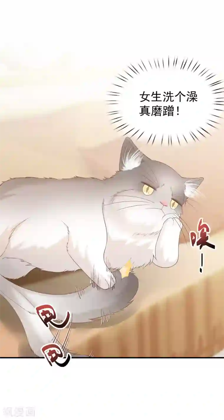 超能不良学霸第7话 变成少女的猫