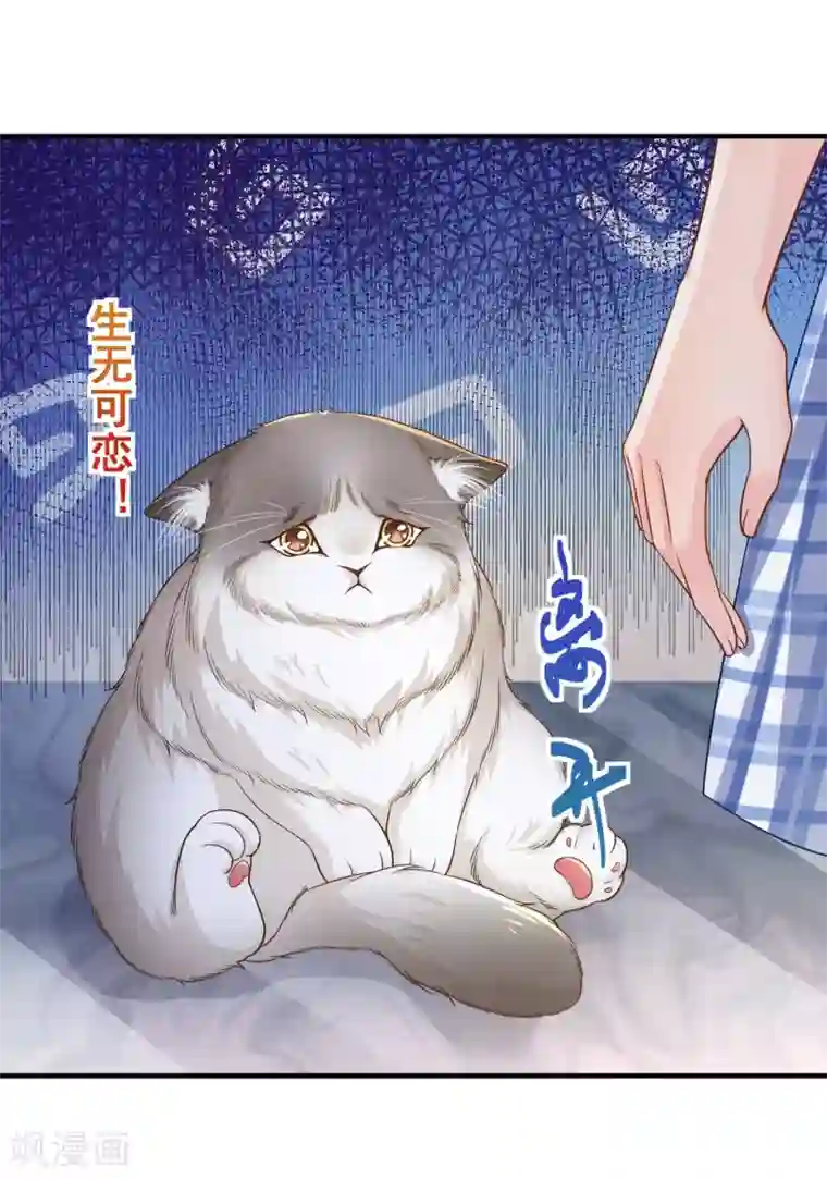 超能不良学霸第7话 变成少女的猫