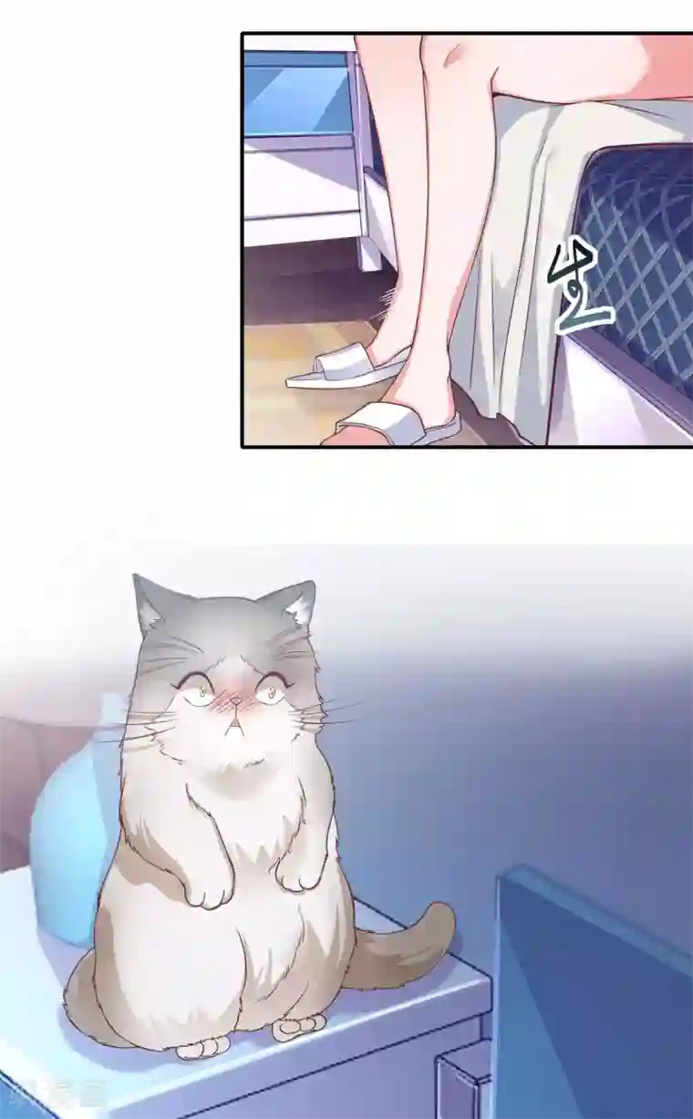 超能不良学霸第7话 变成少女的猫