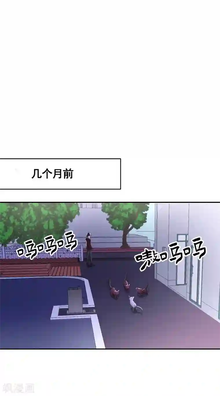 影子侦探第13话 婚礼请柬