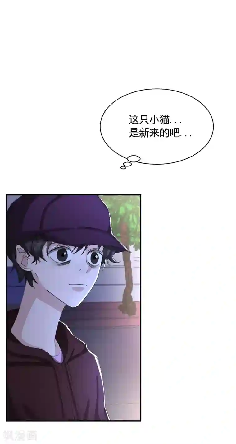 影子侦探第13话 婚礼请柬