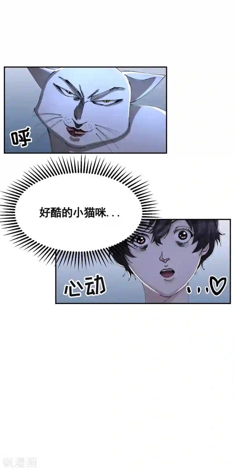 影子侦探第13话 婚礼请柬