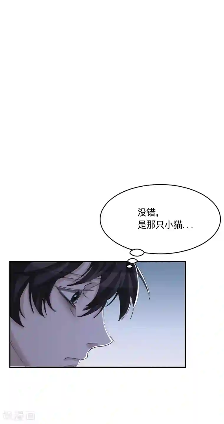 影子侦探第13话 婚礼请柬