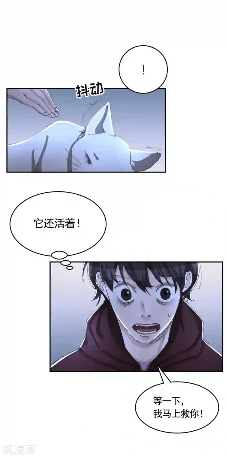 影子侦探第13话 婚礼请柬