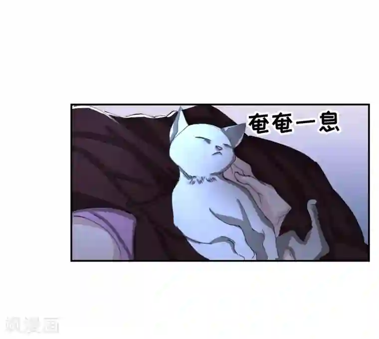 影子侦探第13话 婚礼请柬