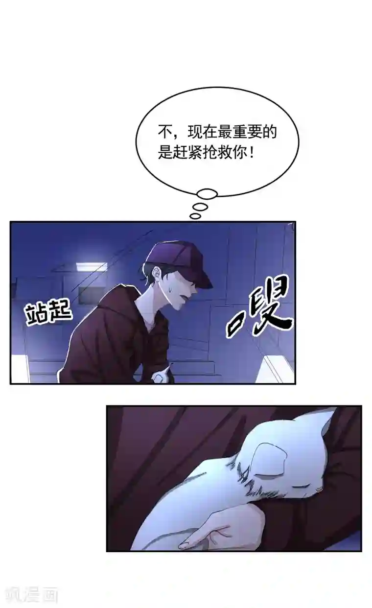 影子侦探第13话 婚礼请柬