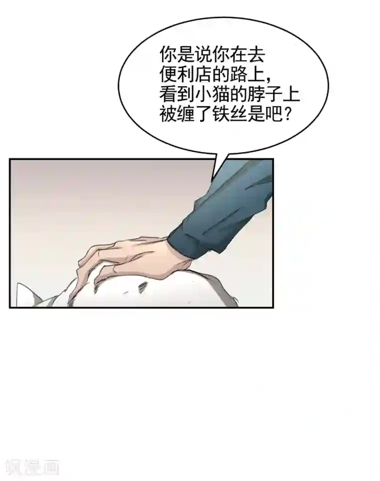 影子侦探第14话 小家伙情况危急