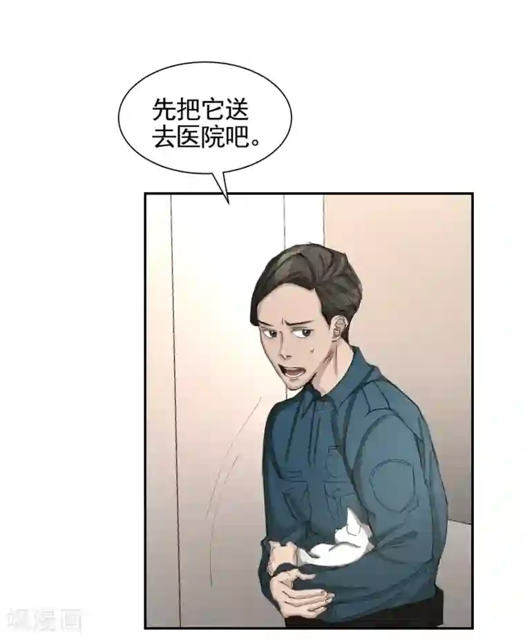 影子侦探第14话 小家伙情况危急