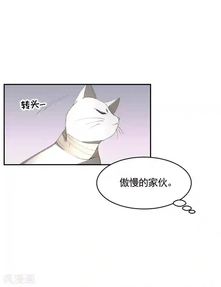 影子侦探第16话 寻找目击者