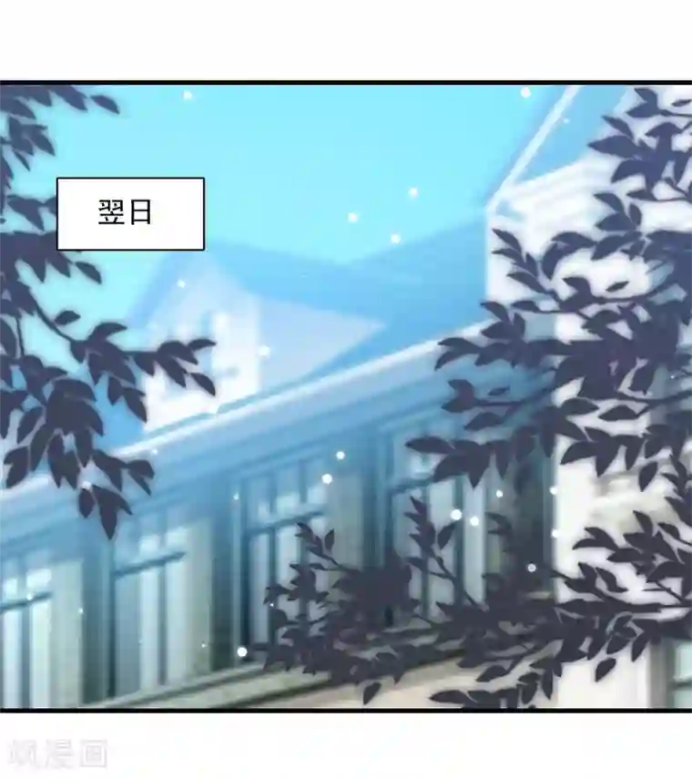 总裁爹地超给力第173话 分头行动