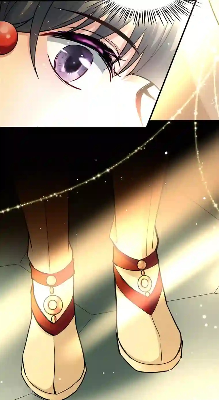 寻找前世之旅第2季第11话 宿命的再次开始8