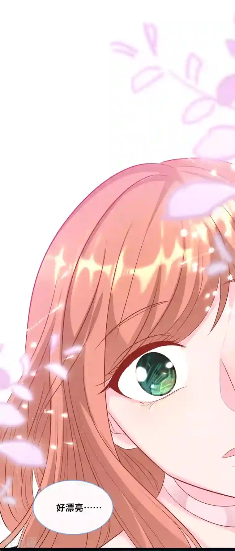 总裁爹地追上门第103话 为你准备的惊喜