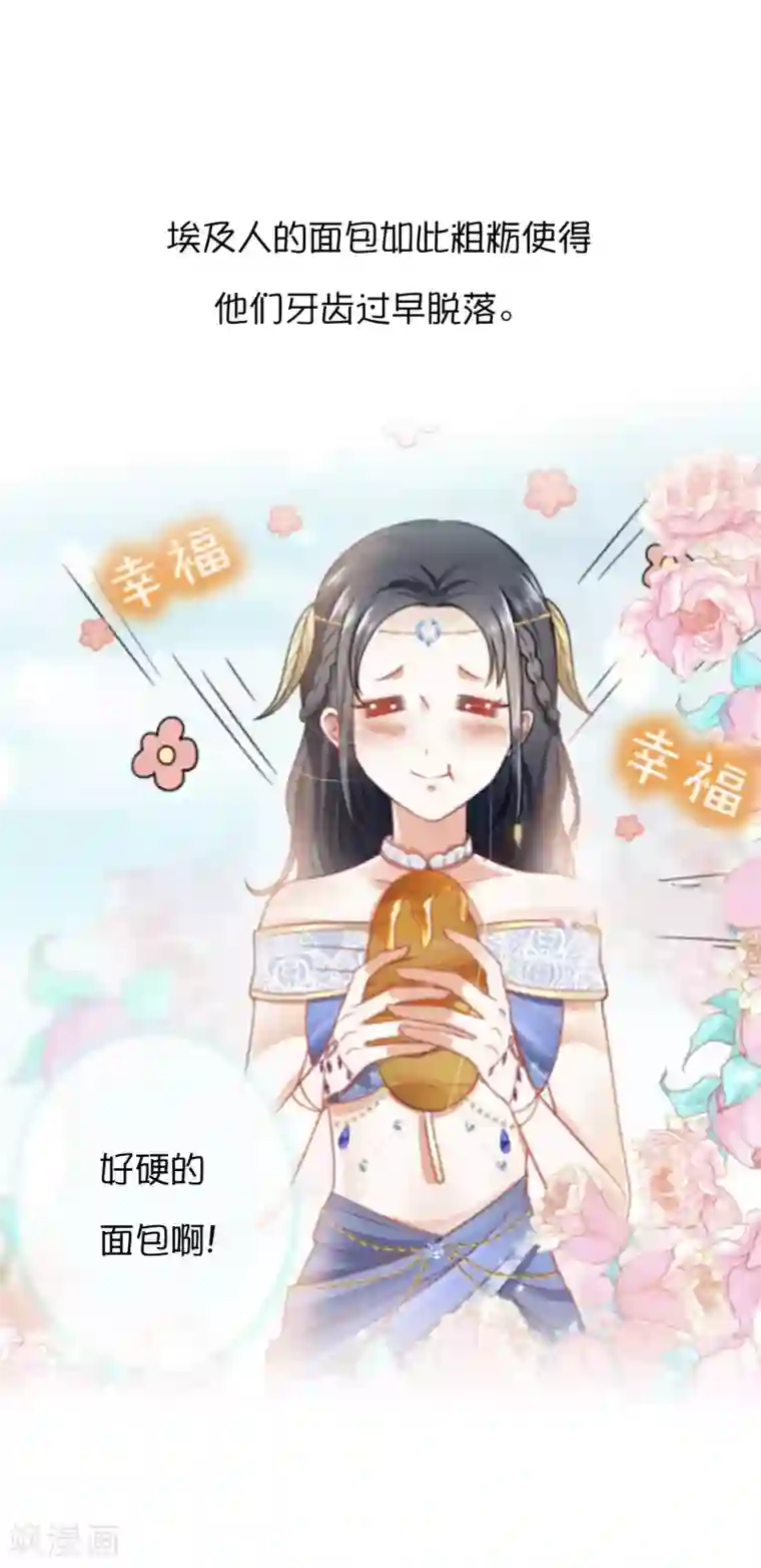 王的第一宠后王的茶话会35 古埃及的经济