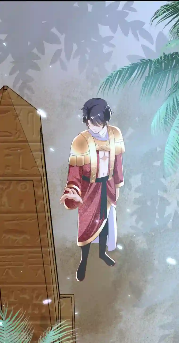 王的第一宠后第88话 王的野心！