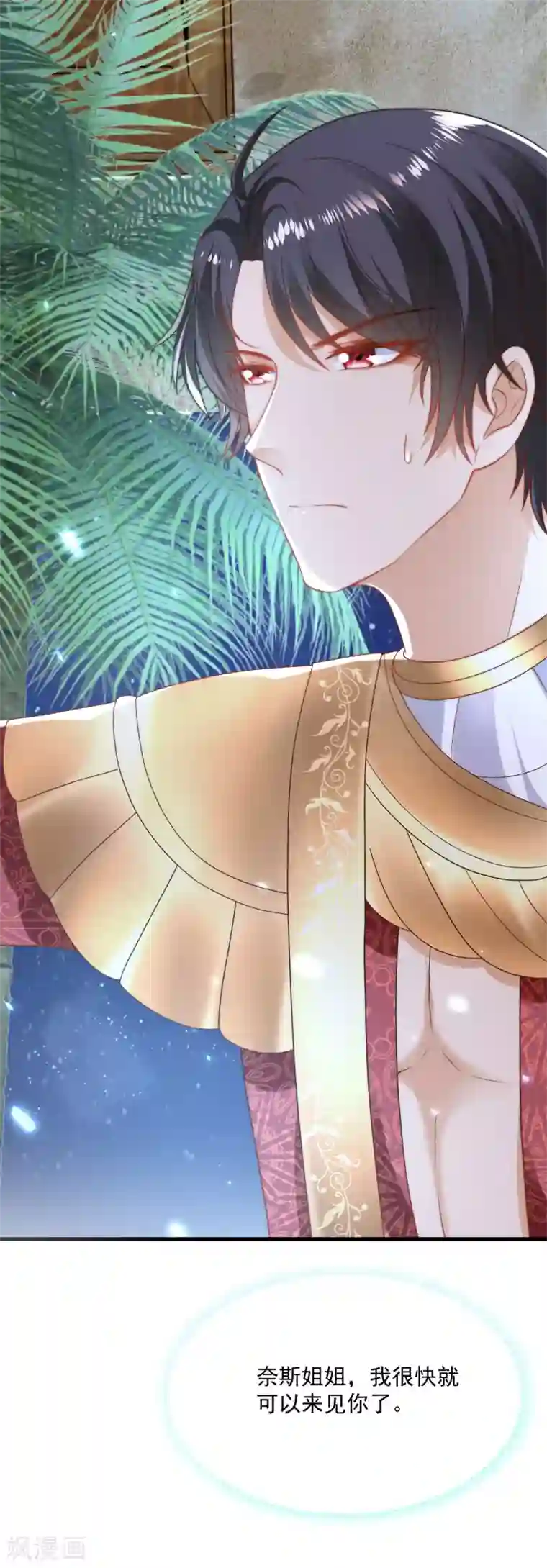 王的第一宠后第88话 王的野心！