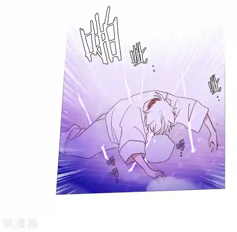 动物灵魂管理局第137话 去找他们