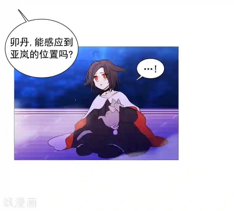 动物灵魂管理局第137话 去找他们