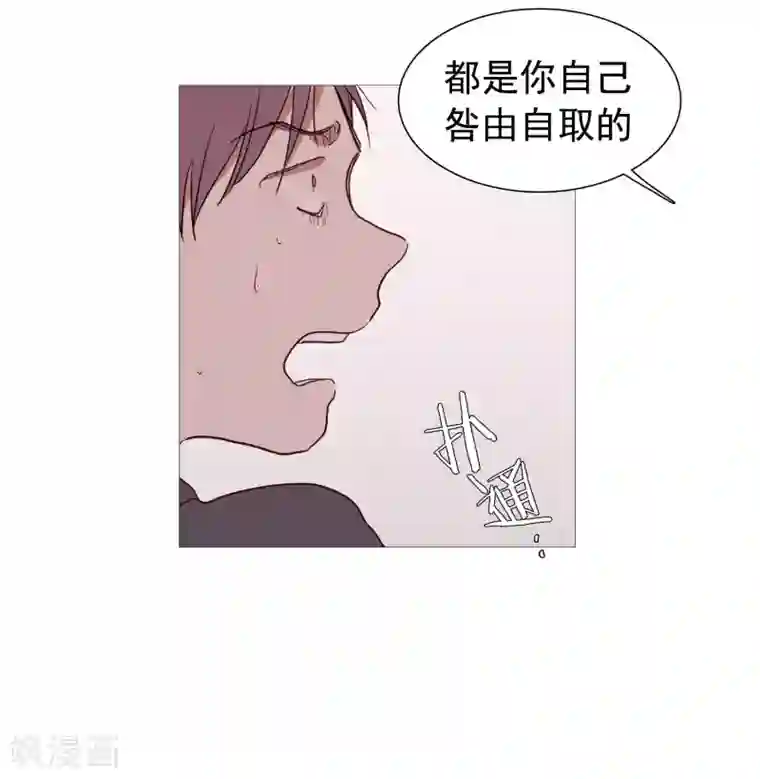 动物灵魂管理局第138话 咎由自取