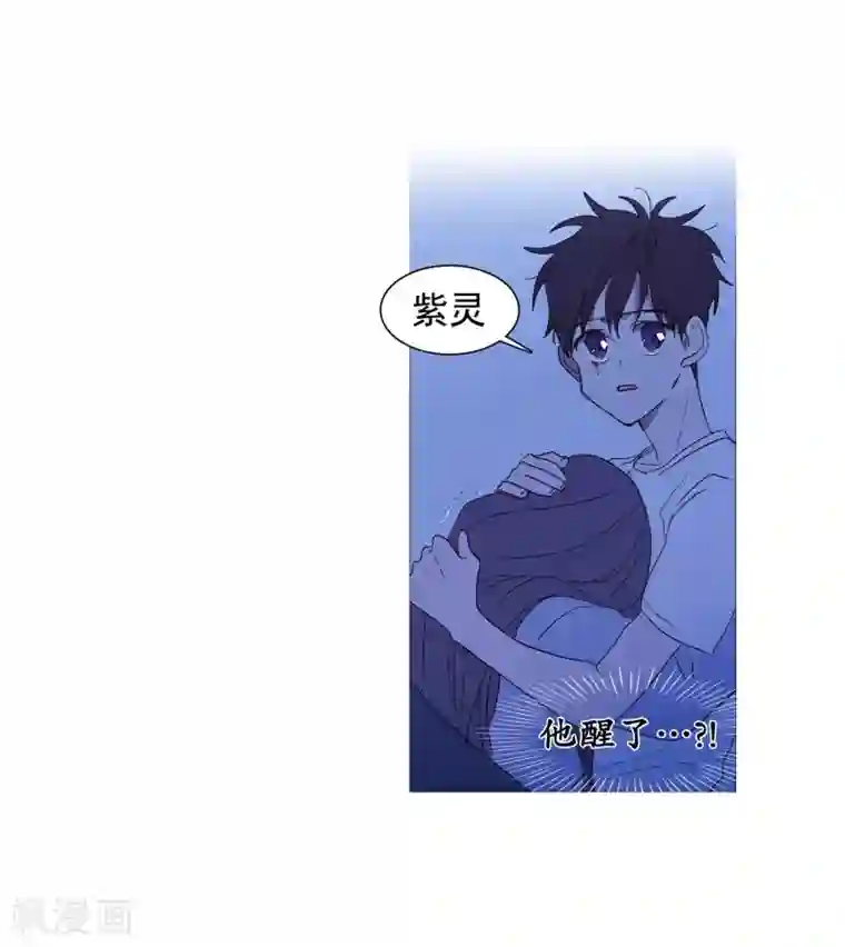 动物灵魂管理局第139话 见她一面