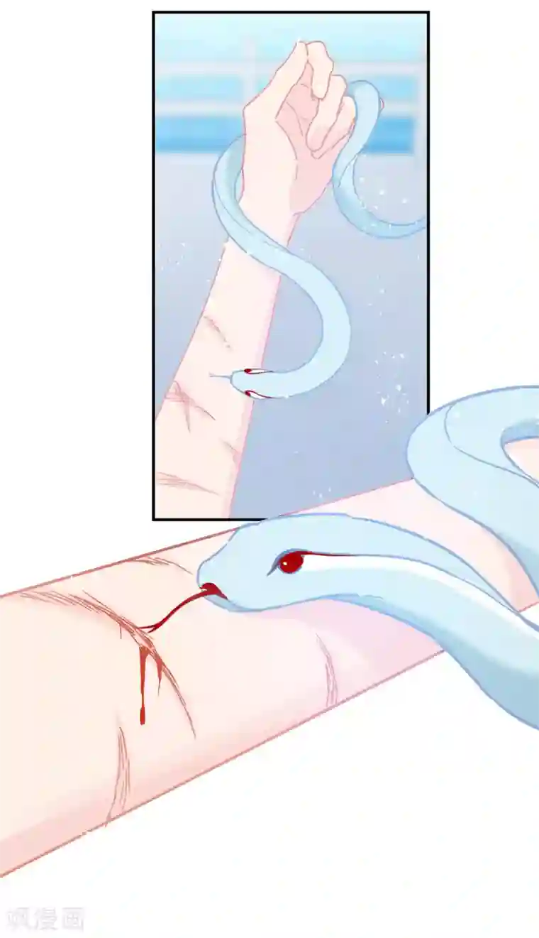 我家陛下总想祸国第31话2 离沫的仇恨