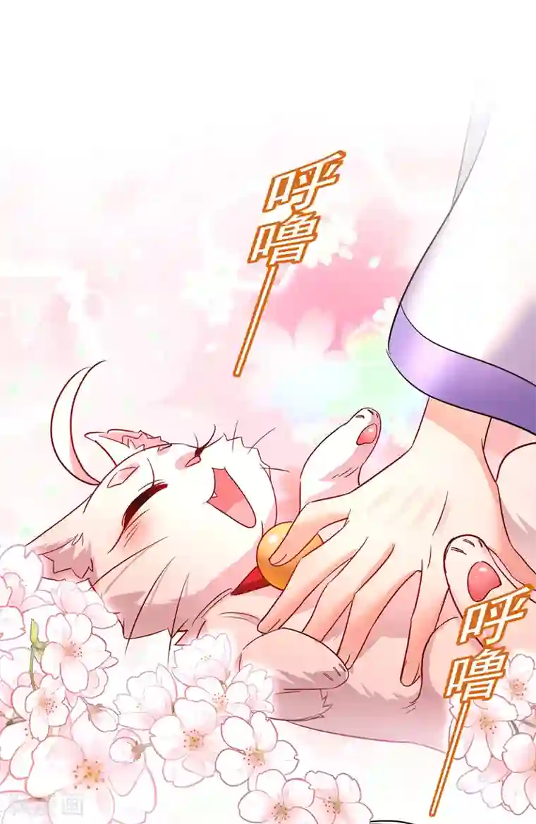 我在异界养男神：神医九小姐第63话 修炼瓶颈