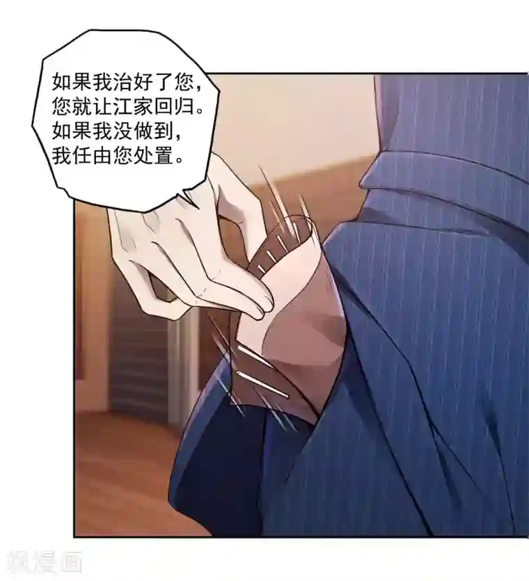 第一赘婿第33话 老谋深算