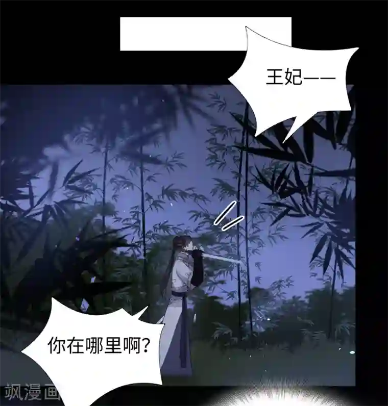 通灵王妃第50话 客栈